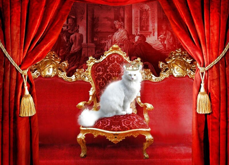 White Cat on Throne