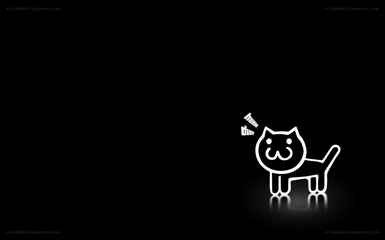 white cat outline on black
