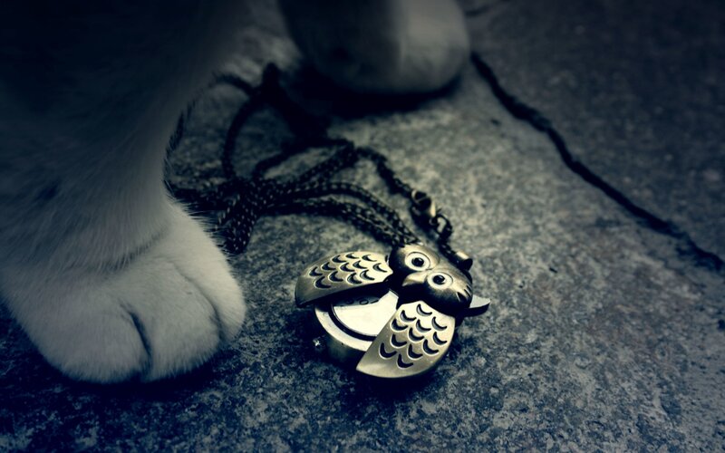 White Cat Paw with Owl Pendant
