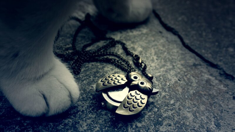 White Cat Paw with Pendant