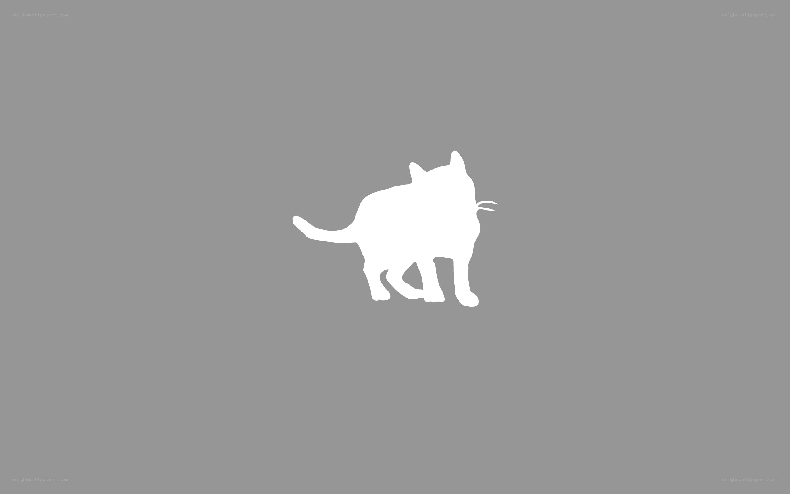 white cat silhouette