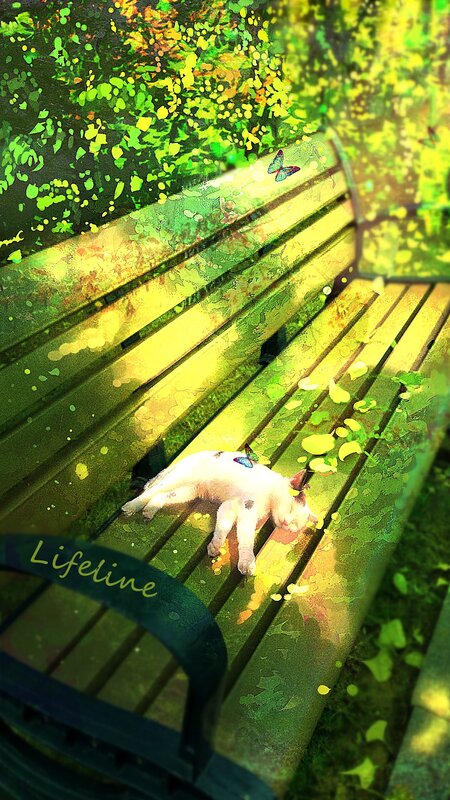 White Cat Sleeping — Green
