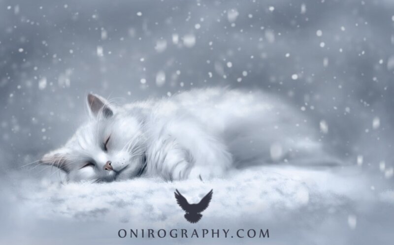 White Cat Sleeping in Snow