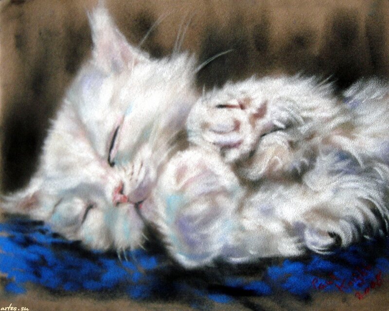 White Cat Sleeping — Peaceful, Painting