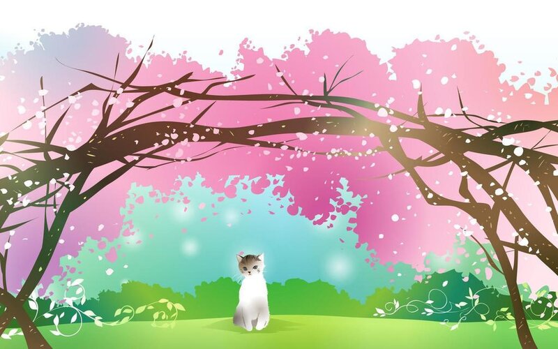 White Cat under Cherry Blossoms — Pink