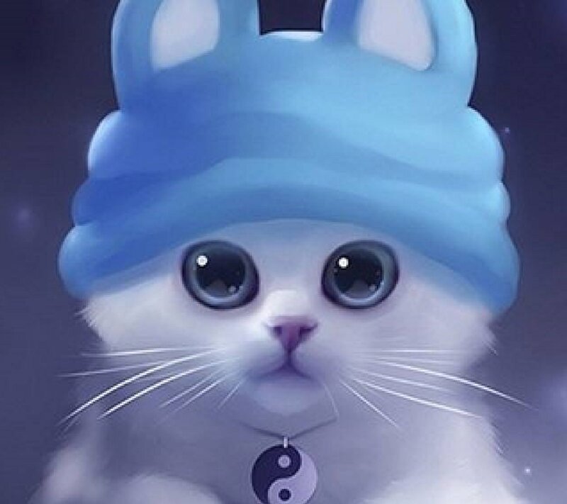 White Cat Wearing Hat — Blue