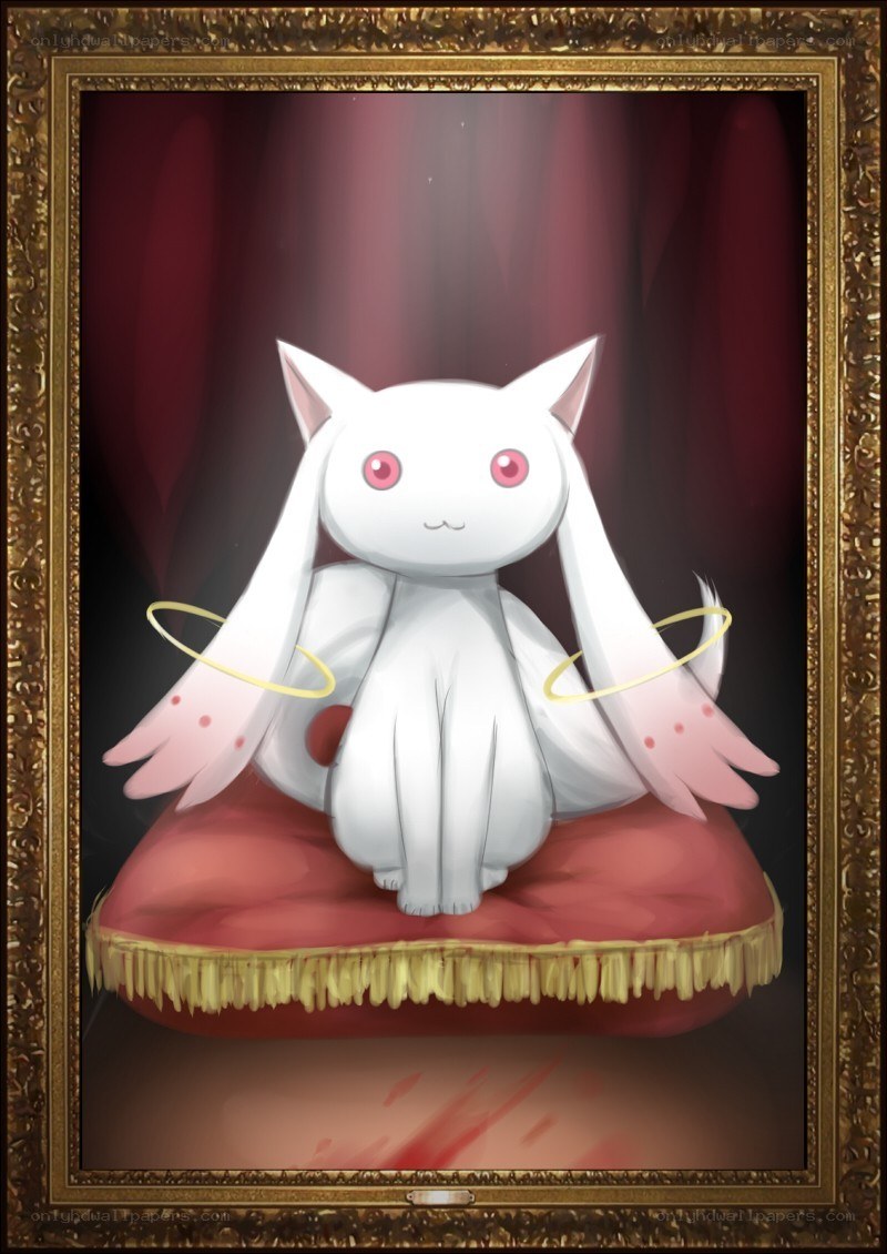 White cat with angel wings