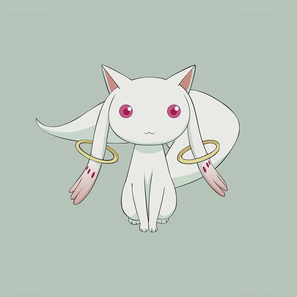 white cat with angelic wings
