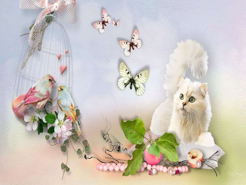 White Cat with Birds — Pink