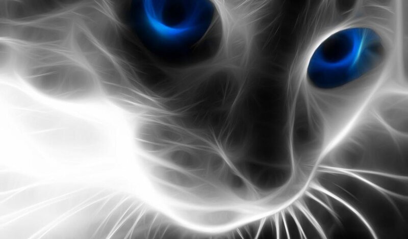 White Cat with Blue Eyes — Dramatic, Digital Art, Whiskers