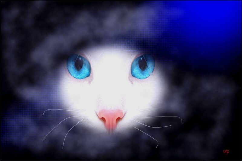 White Cat with Blue Eyes — Dramatic, Night, Digital Art