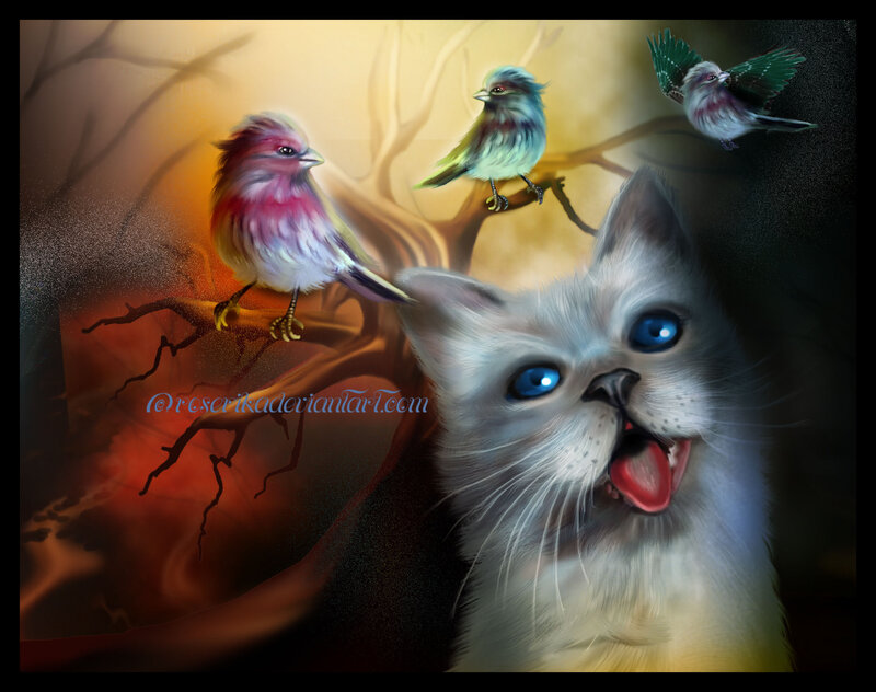 White Cat with Blue Eyes — Dramatic, Night