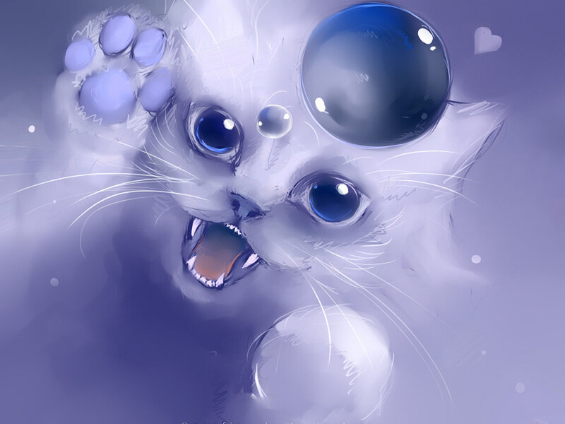 White Cat with Blue Eyes — Purple