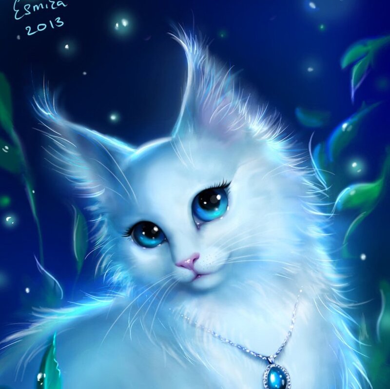 White Cat with Blue Eyes — Serene, Night