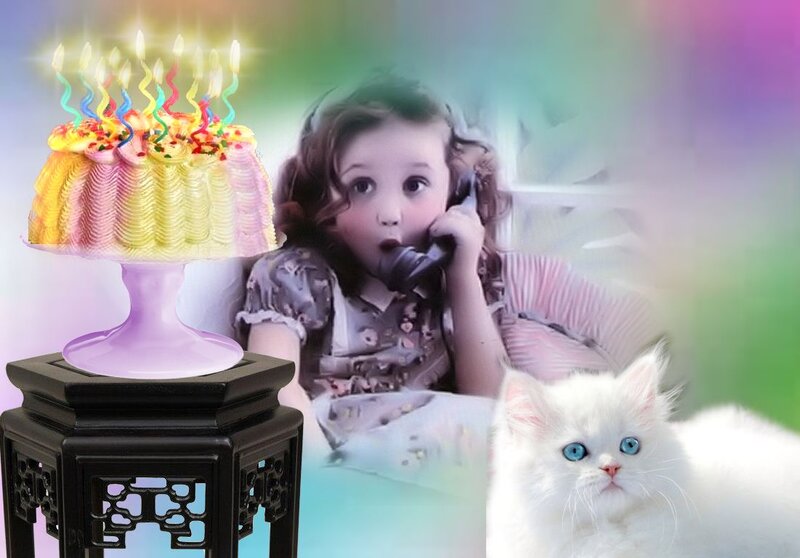 White Cat with Blue Eyes — Whimsical