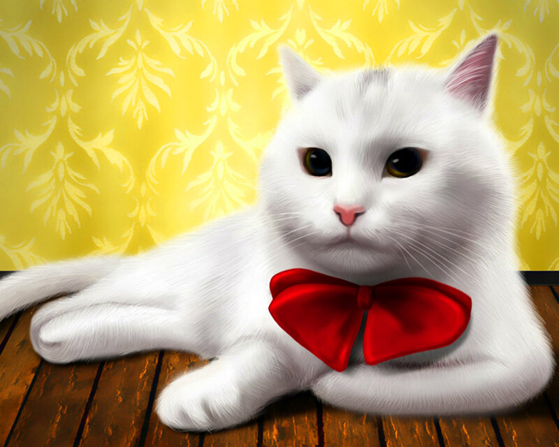 White Cat with Bow Tie — Calm