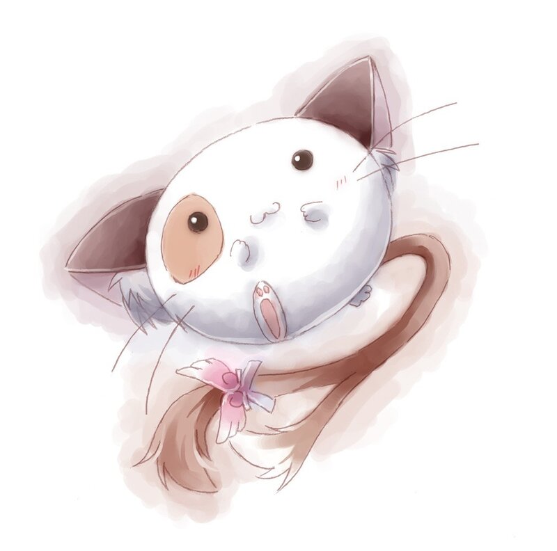 White Cat with Brown Ears