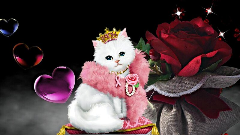 White Cat with Crown