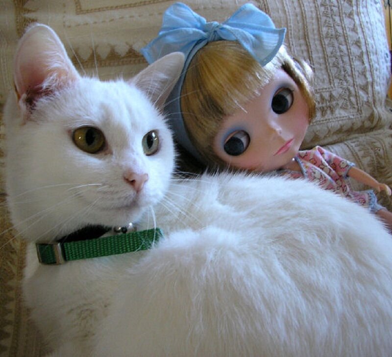 White Cat with Doll