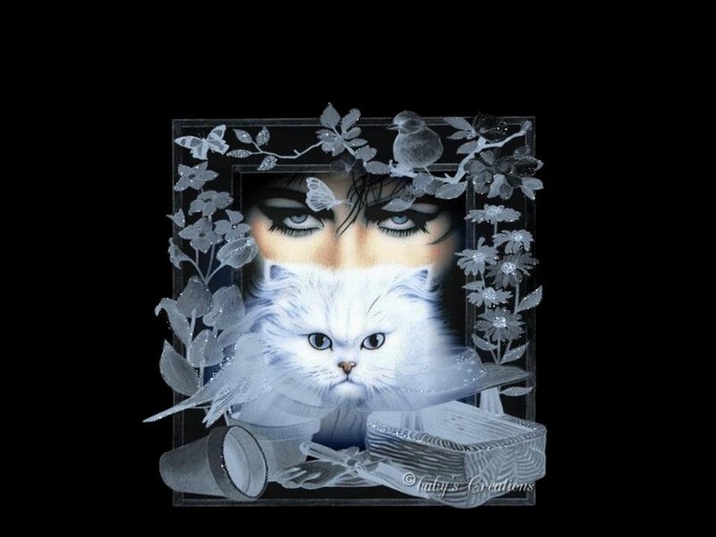 White Cat with Eyes