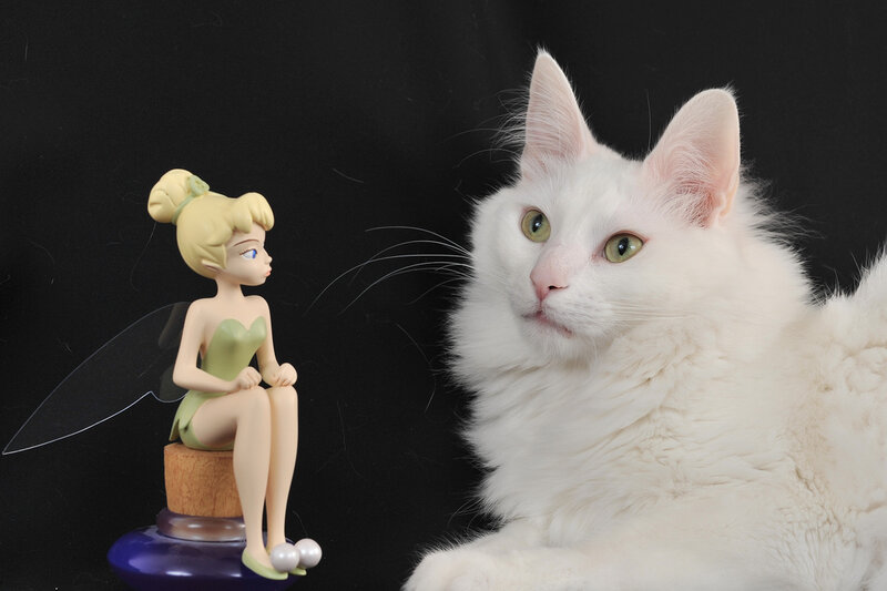 White Cat with Figurine