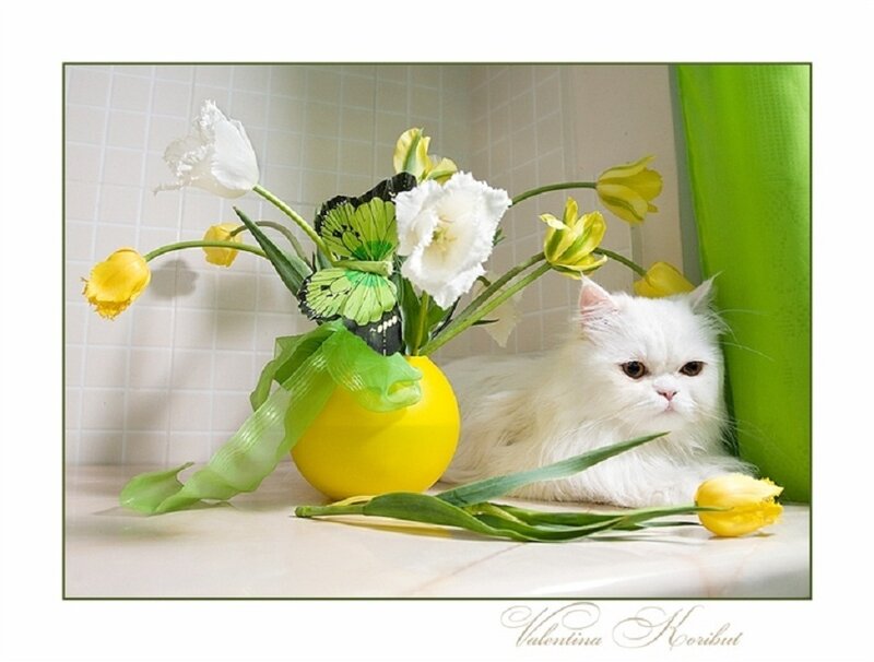 White cat with flowers
