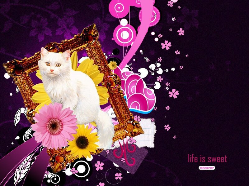 white cat with flowers