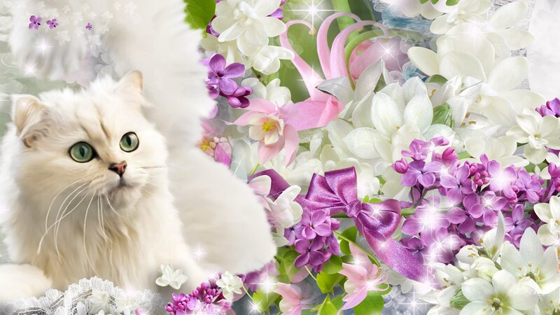 White Cat with Flowers — Whimsical