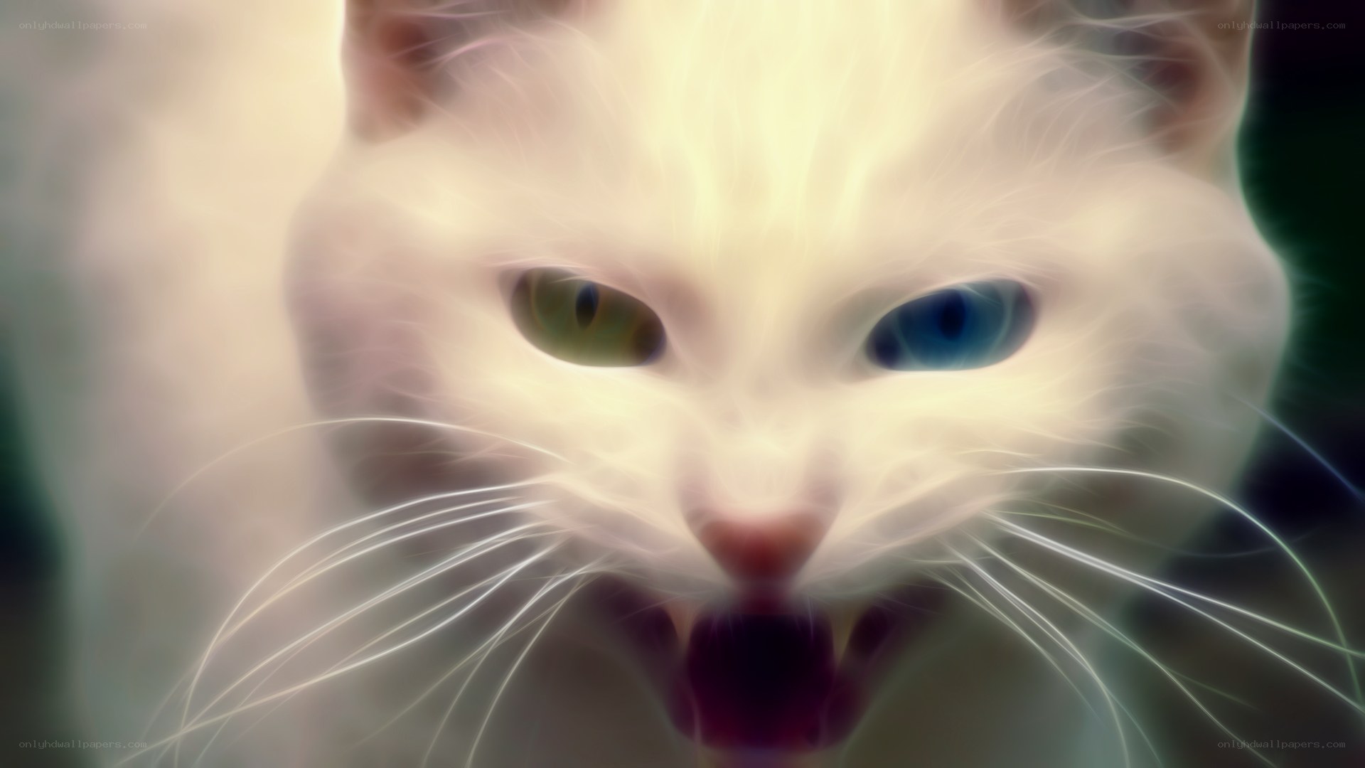white cat with glowing eyes