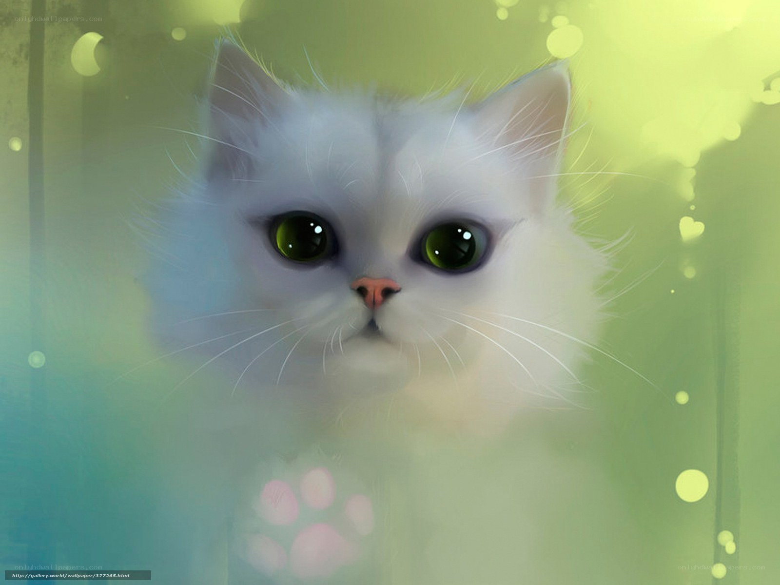 white cat with green eyes