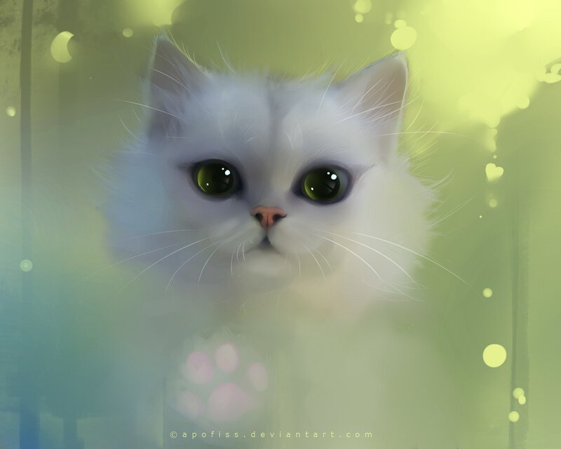white cat with green eyes
