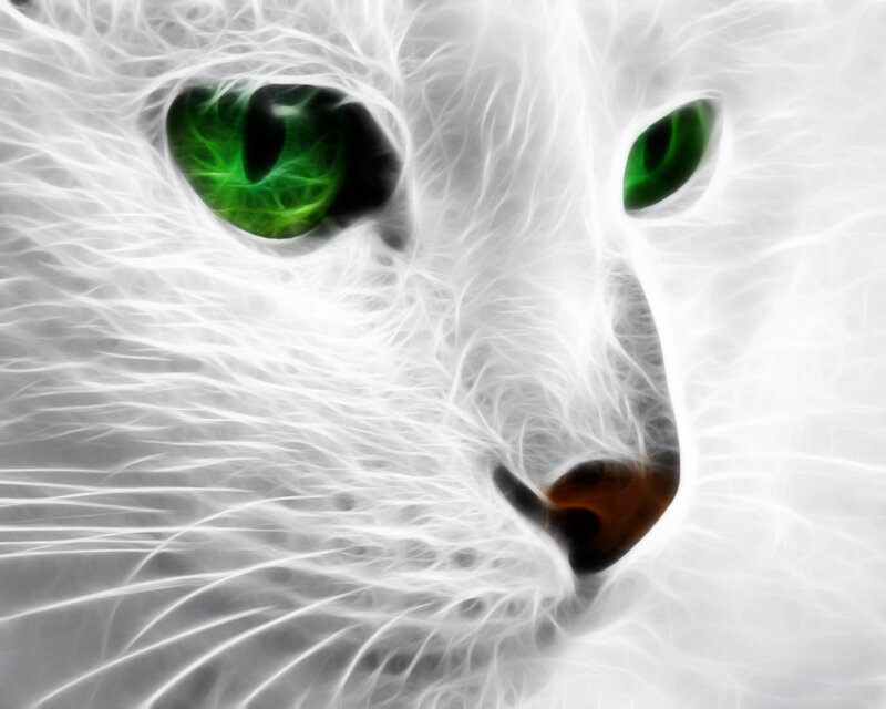 White Cat with Green Eyes — Dramatic, Digital Art