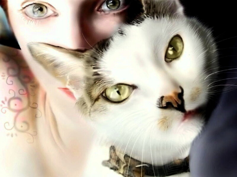 White Cat with Green Eyes — Intimate