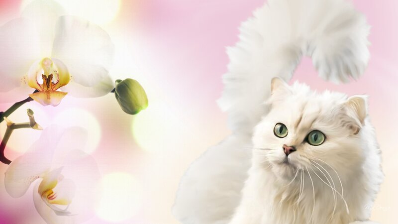 White Cat with Green Eyes — Serene, Digital Art, Orchid Flower