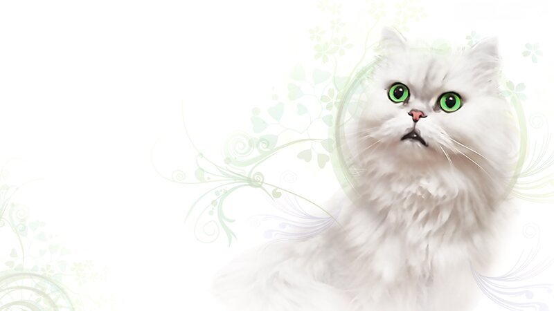 White Cat with Green Eyes — Serene, Digital Art