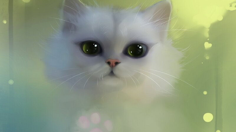 White Cat with Green Eyes — Serene