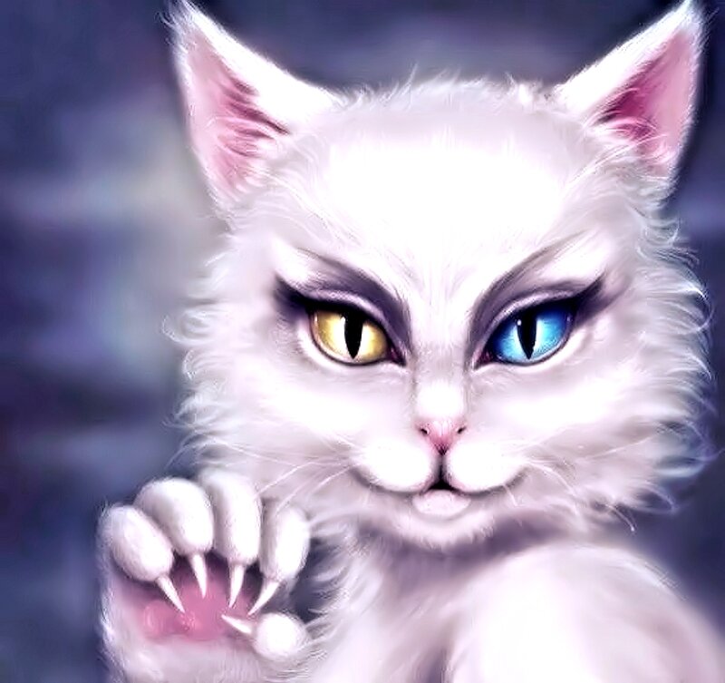 White Cat with Heterochromia — Dramatic, Digital Art