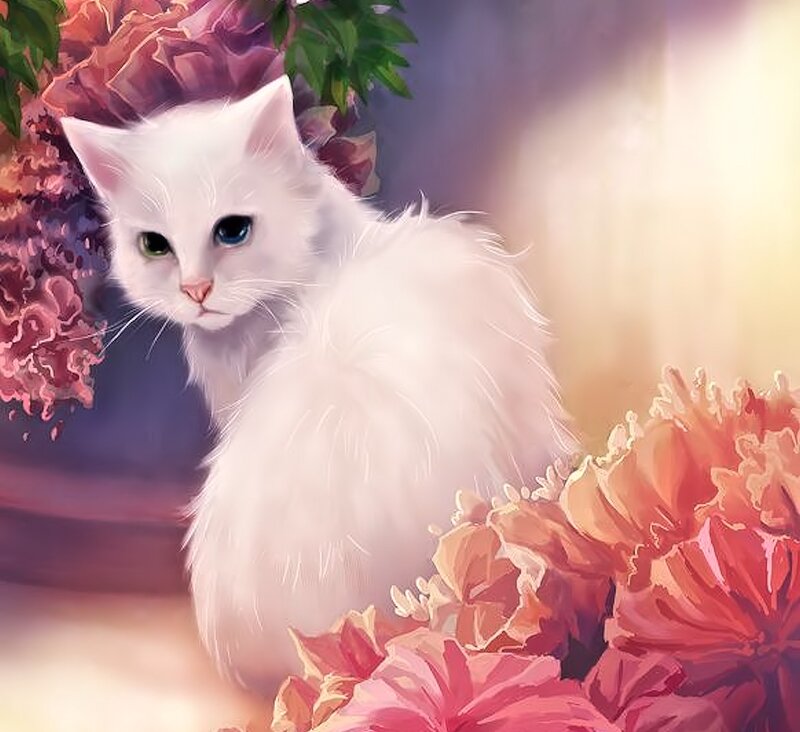 White Cat with Heterochromia — Serene, Digital Art