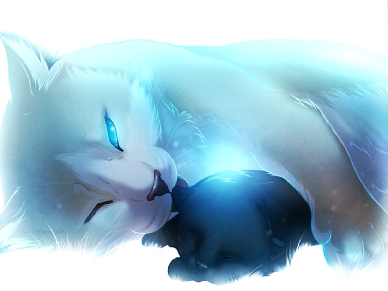 White Cat with Kitten — Serene