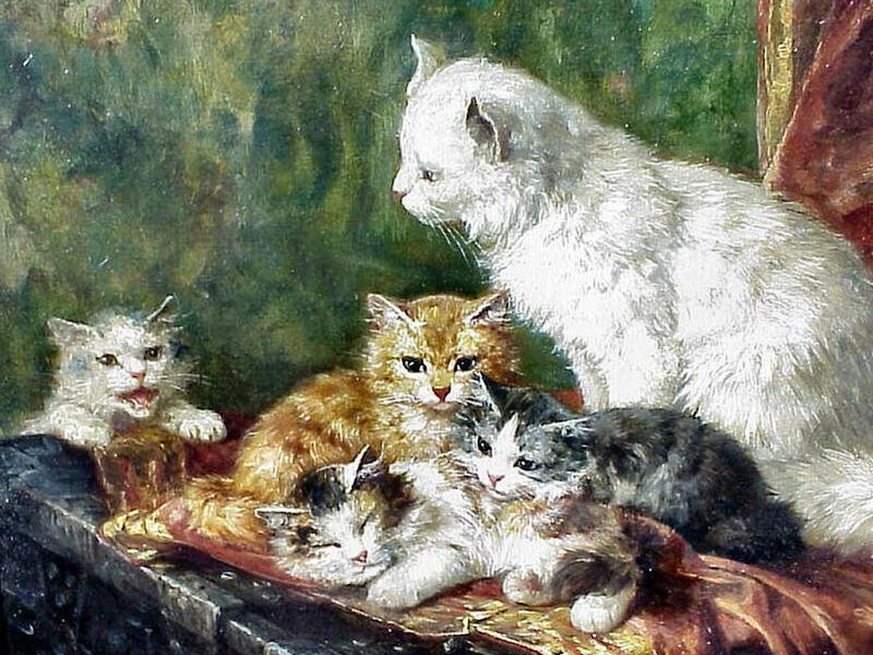 White Cat with Kittens