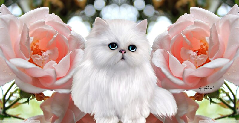 White Cat with Pink Roses