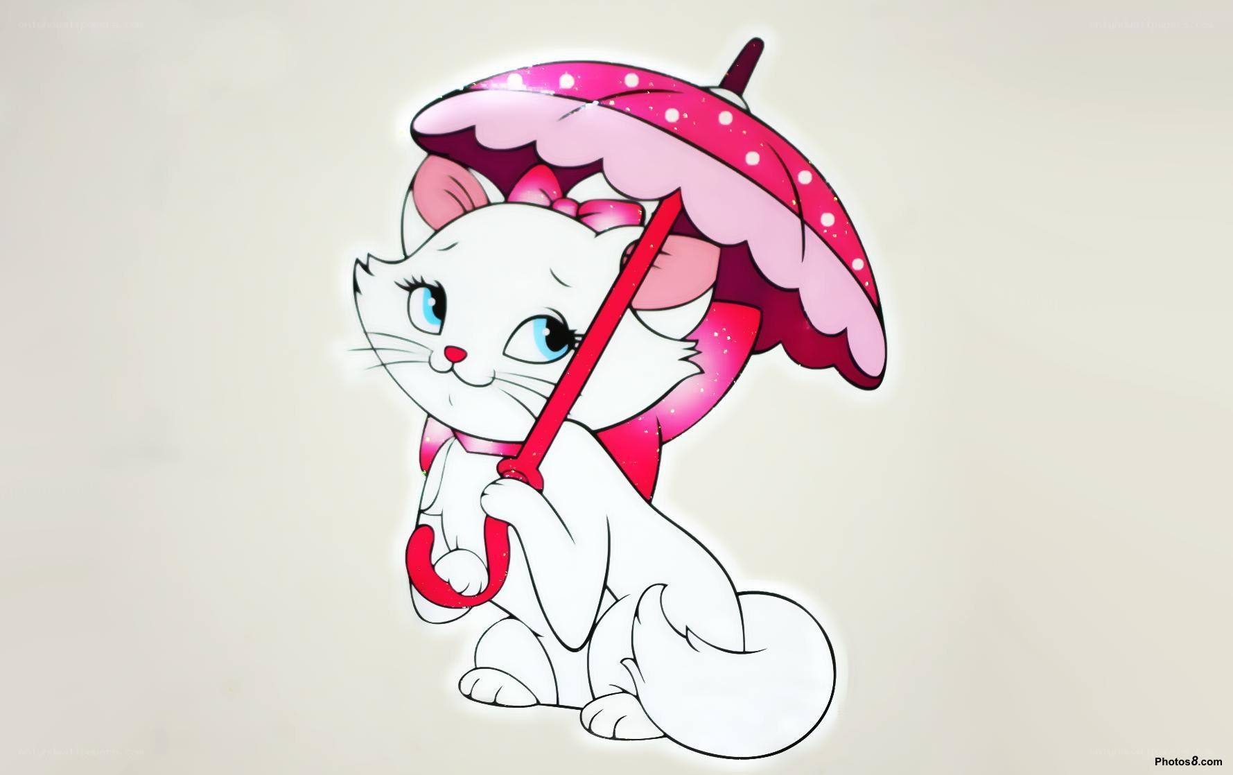 white cat with pink umbrella