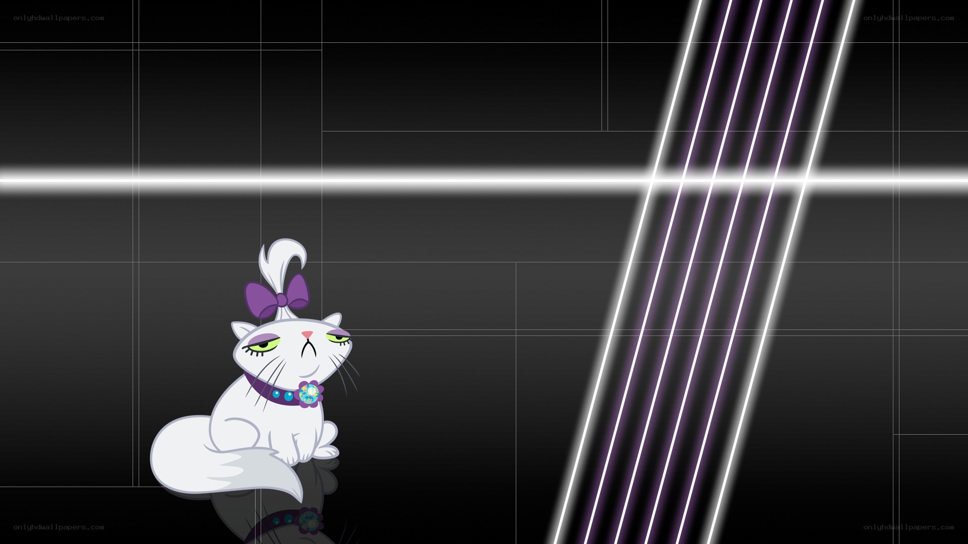white cat with purple bow