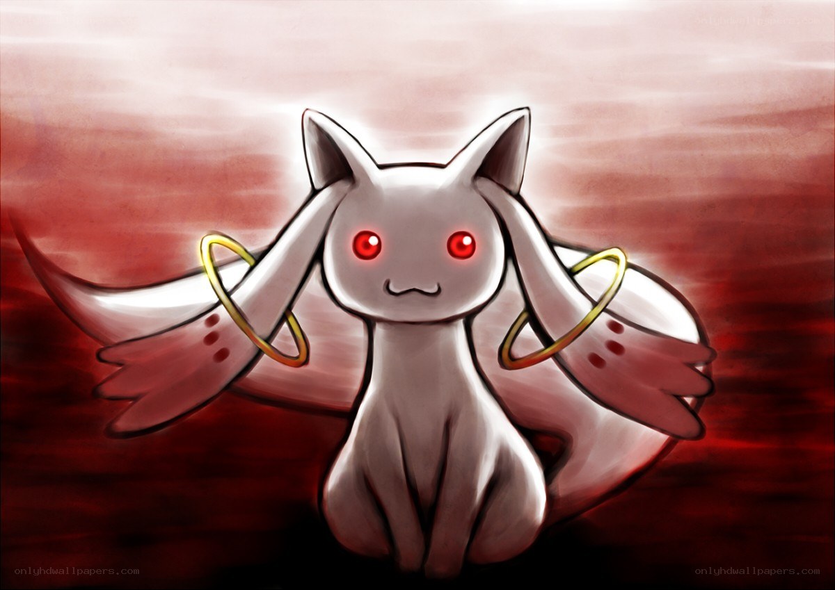 white cat with red eyes