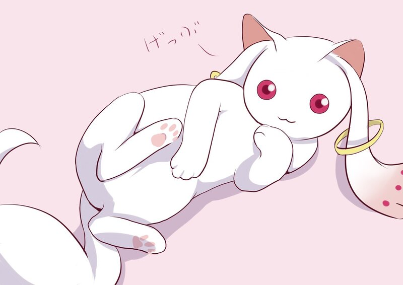 white cat with red eyes