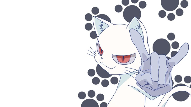 White Cat with Red Eyes — Playful