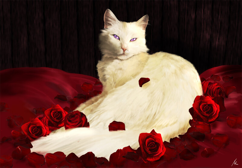 White Cat with Red Roses