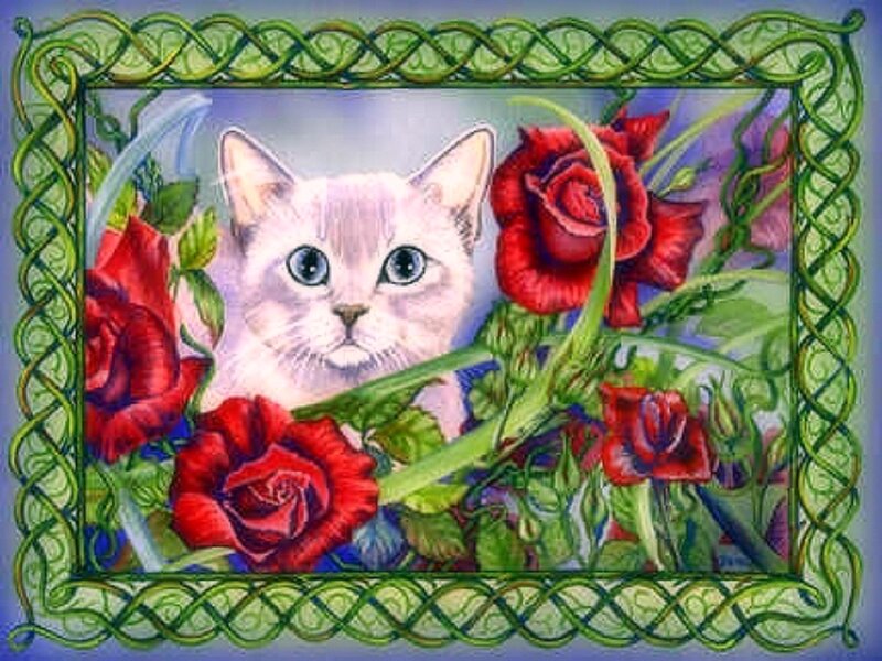 White Cat with Roses — Red