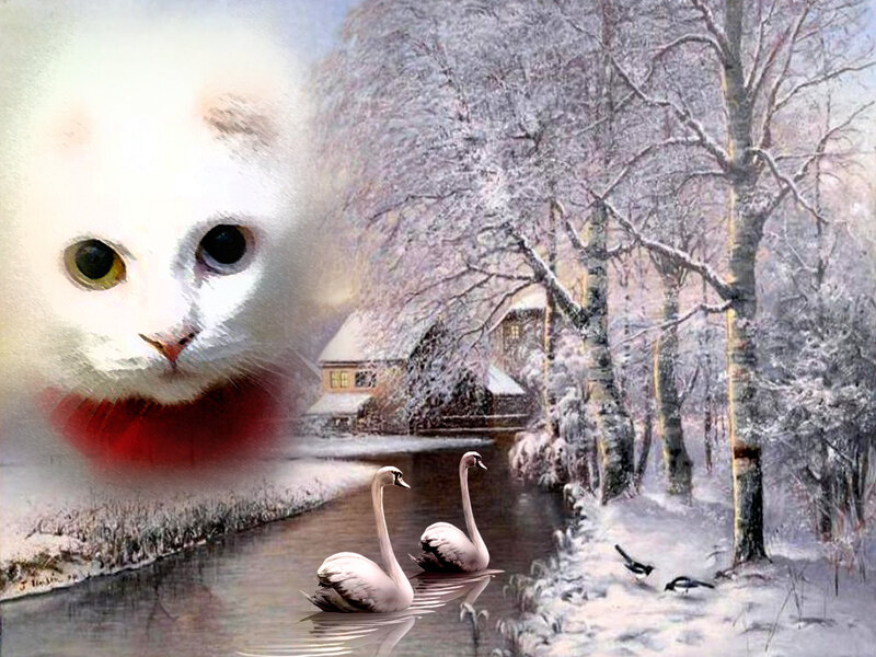 White Cat with Swans