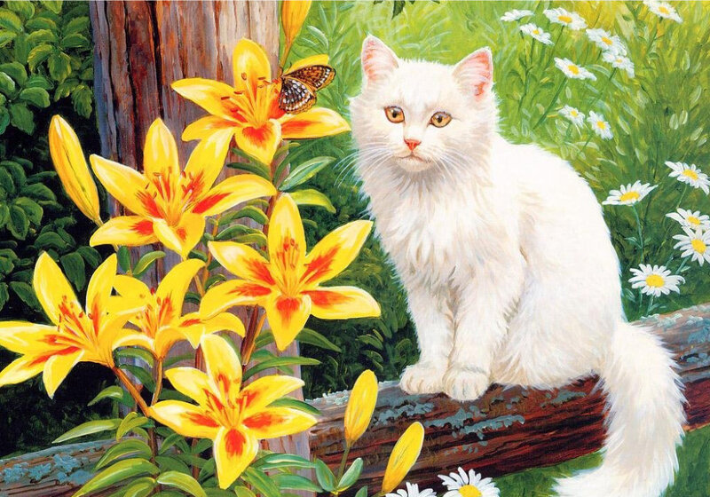 White cat with yellow lilies